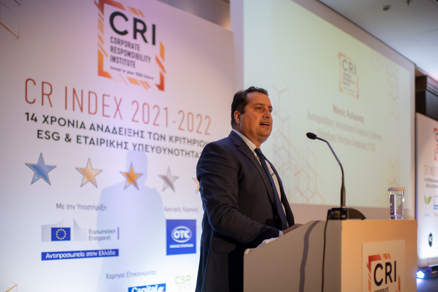 Νίκος Αυλώνας, Αντιπρόεδρος Ινστιτούτου Εταιρικής Ευθύνης